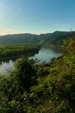 Scenic view from a green hill with trees and shrubs over the wide Danube River and surrounding forested hills in Wachau Valley, Austria on a sunny day.の写真素材