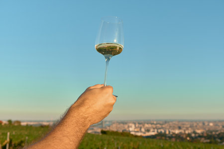 Horizontal photo of a raised white wine glass above vineyard rows against bright blue sky. Warm...
