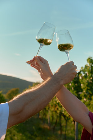 Vertical photo of male and female hands crossed while clinking white wine glasses above vineyard...
