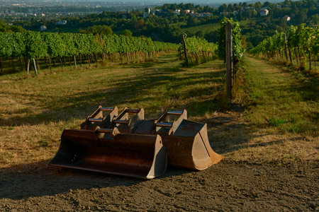 Photo of excavator buckets lying on the ground among vineyard rows under warm sunlight. Highlights...