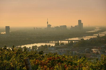 Sunrise over vineyards on hills above Vienna. Misty morning with Danube in distance and pink sky. Peaceful, atmospheric scene capturing early autumn light and scenic landscape.の写真素材