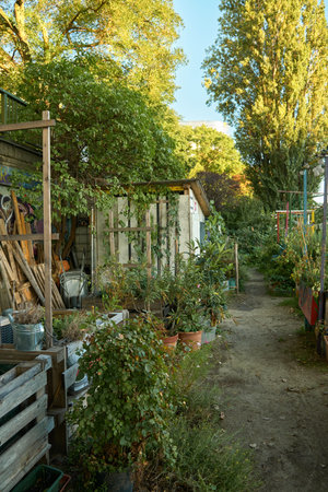 Vertical view of a sunny urban garden in Vienna. A pathway runs between wooden planters filled with vegetables, herbs, and green plants, creating a cozy autumn harvest atmosphere.の写真素材