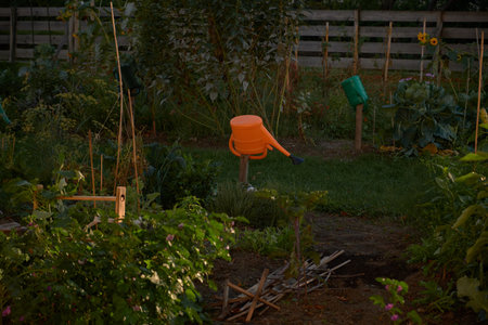 Stunning horizontal view of an autumn urban garden at sunset, featuring bright orange and green watering cans, sunflowers, dill, and vibrant greeneryâperfect for cozy, warm city gaの写真素材