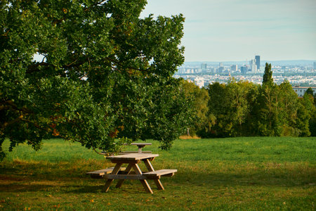 Wooden picnic table with bench under lush oak branches on a green meadow with scattered dry leaves. Trees and distant view in warm autumn light.の写真素材