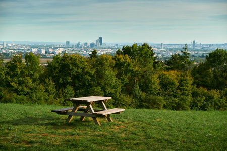 Wide horizontal shot of a wooden bench on a green meadow hill. Scenic autumn view with scattered leaves, trees, and distant city under warm sunlight, peaceful landscape.の写真素材