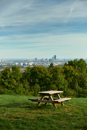 Wooden bench stands on a green meadow hill with scattered dry leaves. Scenic autumn view with trees and distant city under warm sunlight, peaceful countryside scene.の写真素材