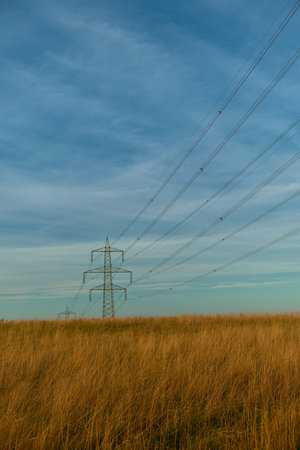 Vertical shot of bright yellow grass under vivid blue sky. High-voltage power lines stretch across, creating striking contrast in peaceful autumn countryside landscape.の写真素材