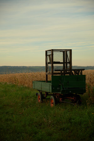 Green farm trailer with red wheels stands on lush green grass next to a cornfield. Autumn countryside scene, perfect for agricultural, rural, or harvest projects.の写真素材