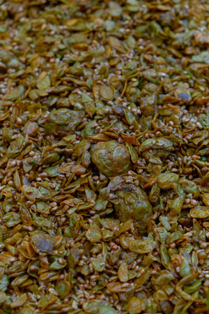 Vertical close-up of grape pomace, showing textures, seeds, and skins in detail. Highlights the rich colors and intricate patterns created during the winemaking process.の写真素材