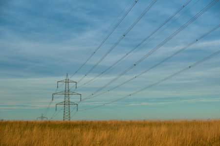 Wide view of bright yellow grass under vivid blue sky. High-voltage power lines stretch across the sky, creating contrast with warm autumn natural landscape.の写真素材