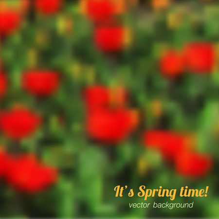 Spring background with red tulipsのイラスト素材