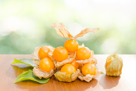 Fresh pichuberry (Cape Gooseberry), very delicious and healthy berry fruit, uchuva on brown wooden table and leaves with nature light green bokeh background in the garden or farmの写真素材
