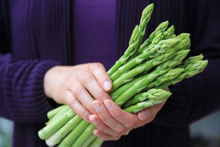 Green asparagus in woman\'s handの写真素材