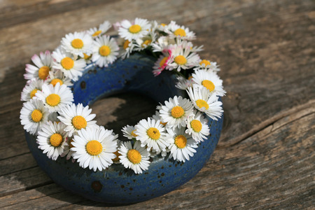 Arrangement with daisy flower bloomの写真素材