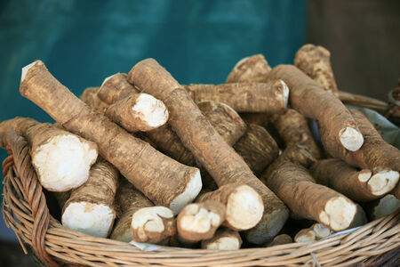 Fresh horseradish on the marketの写真素材