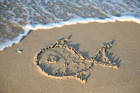 Fish drawing in the sand of a beachの写真素材