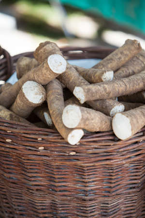 Horseradish in basket on farmer's marketの写真素材