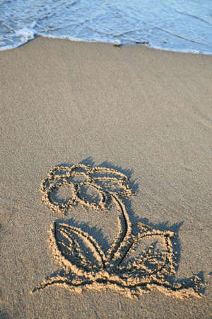 Flower sand painting on the beachの写真素材