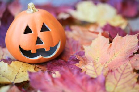 Halloween pumpkin on autumn leavesの写真素材
