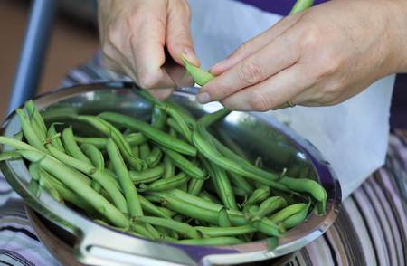 Hands preparing green beans for cookingの写真素材