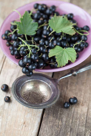 Pink glass bowl filled with fresh black currants and leavesの写真素材