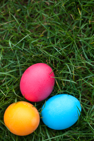 Three painted Easter eggs in the grassの写真素材