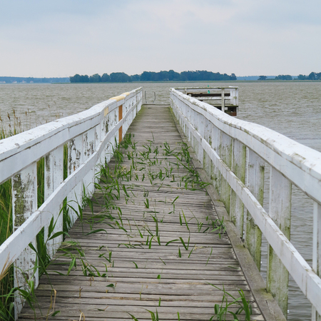 Old wooden overgrown pier with a railing