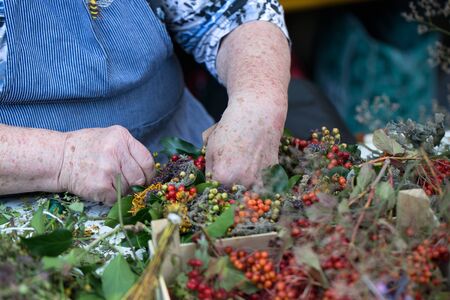 Hands of an old woman making a door wreath in autumnの写真素材