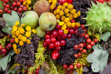 Colorful autumnal decoration background with berries and apples