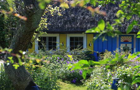 Beautiful summer garden with a wooden house in the backgroundの写真素材