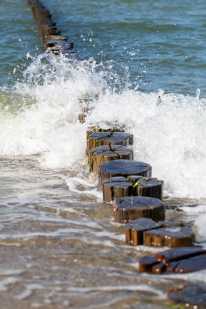 Old wooden groynes in the Baltic Seaの写真素材
