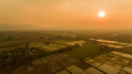High angle view of rice fields sunset.の写真素材