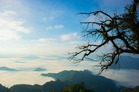 Mountain valley during sunrise. Natural landscapeの写真素材