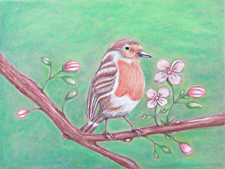 Robin Birdの写真素材