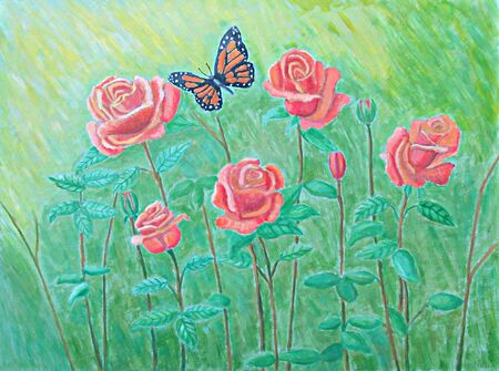 Meadow rosesの写真素材