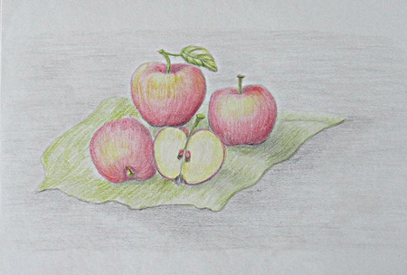 Still life applesの写真素材