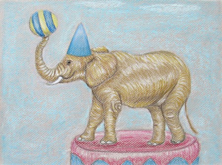 elephant in the circusの写真素材