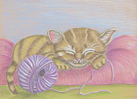 sleeping catの写真素材