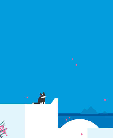 A cute black and white cat is looking around on the  top of a white villaの写真素材