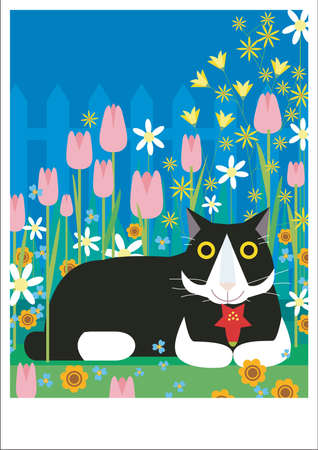 A black and white cat is amongst the flowersの写真素材