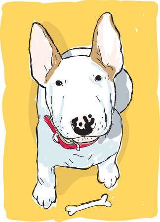 An illustration of a English bull terrier with a bone in frontの写真素材
