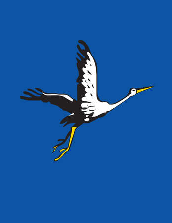 Black and white  stork is flying on the blue backgroundの写真素材