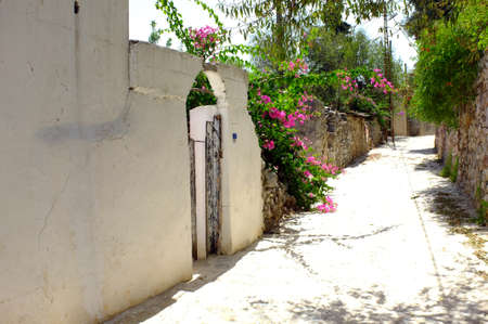 Quite cute road in a villageの写真素材