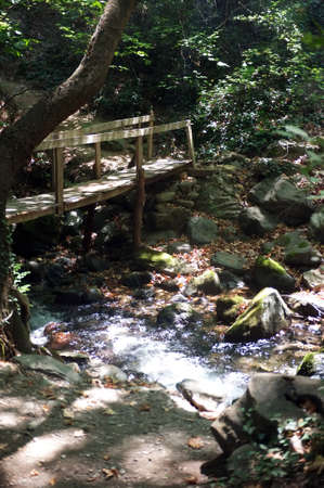 Hand made wooden bridge and small creekの写真素材