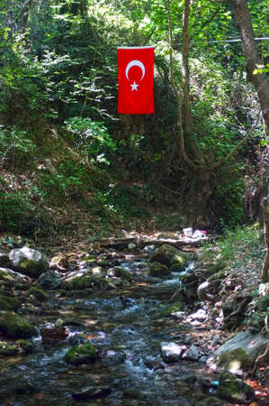 Hanged Turkish flag in natureの写真素材