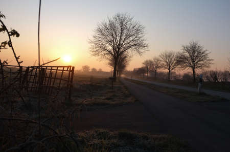 Sunrise scenery with an empty roadの写真素材