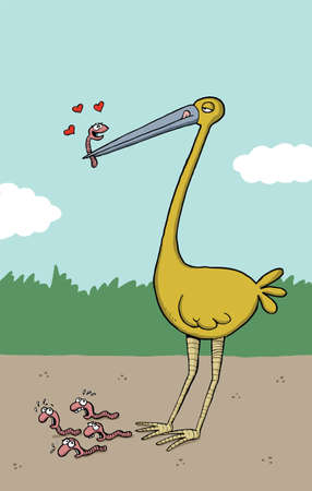 Big bird holds a worm in it\\\\のイラスト素材