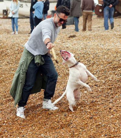 Man plays with his dog on the beachのeditorial素材