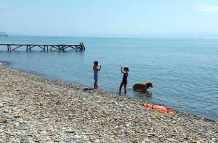 Children and their dog play on beachのeditorial素材