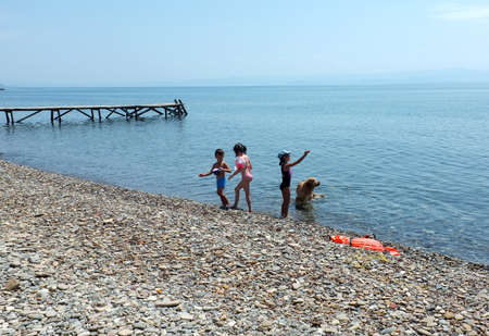 Children and their dog play on beachのeditorial素材